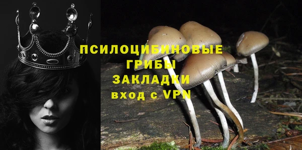 индика Армянск