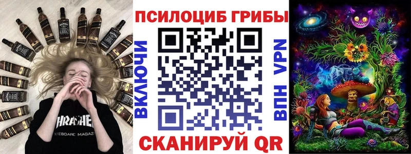 Псилоцибиновые грибы Psilocybe  цена   даркнет состав  Малоярославец 